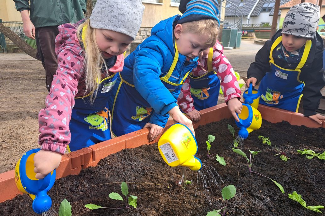 DRK-Kita Pusteblume in Petershagen bekommt neues Hochbeet