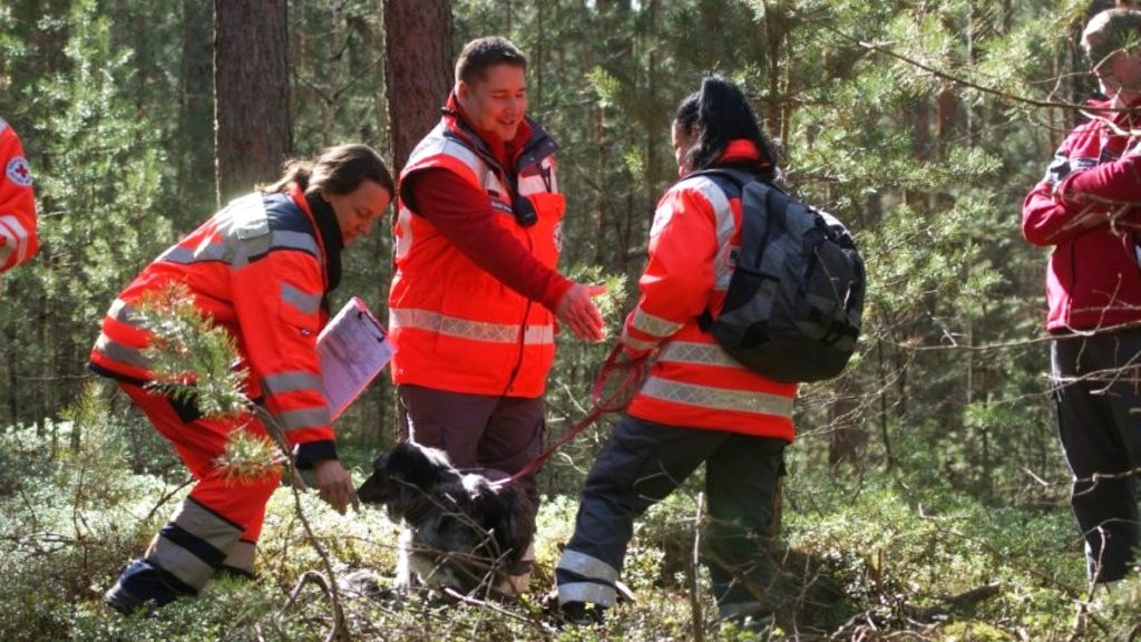 Auf dem Foto ist eine Prüfungssituation für Rettungshunde bei der Flächenprüfung in einem großen Waldgelände zu sehen, bei dem zwei vermisste Personen gesucht werden mussten.
