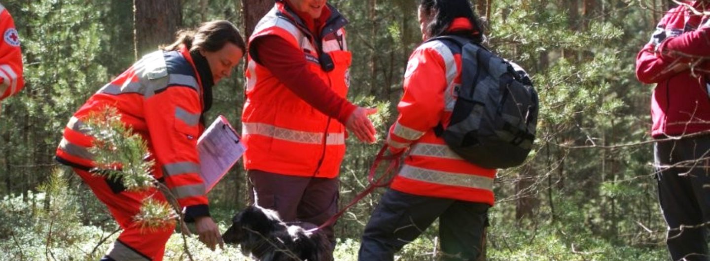 Auf dem Foto ist eine Prüfungssituation für Rettungshunde bei der Flächenprüfung in einem großen Waldgelände zu sehen, bei dem zwei vermisste Personen gesucht werden mussten.