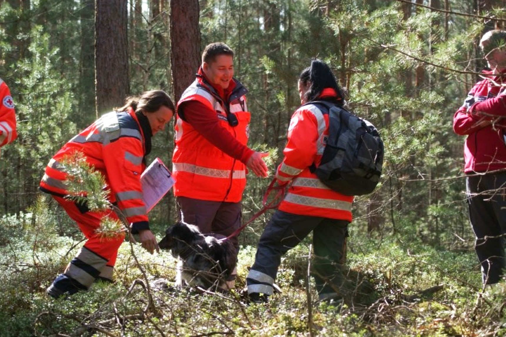 Auf dem Foto ist eine Prüfungssituation für Rettungshunde bei der Flächenprüfung in einem großen Waldgelände zu sehen, bei dem zwei vermisste Personen gesucht werden mussten.